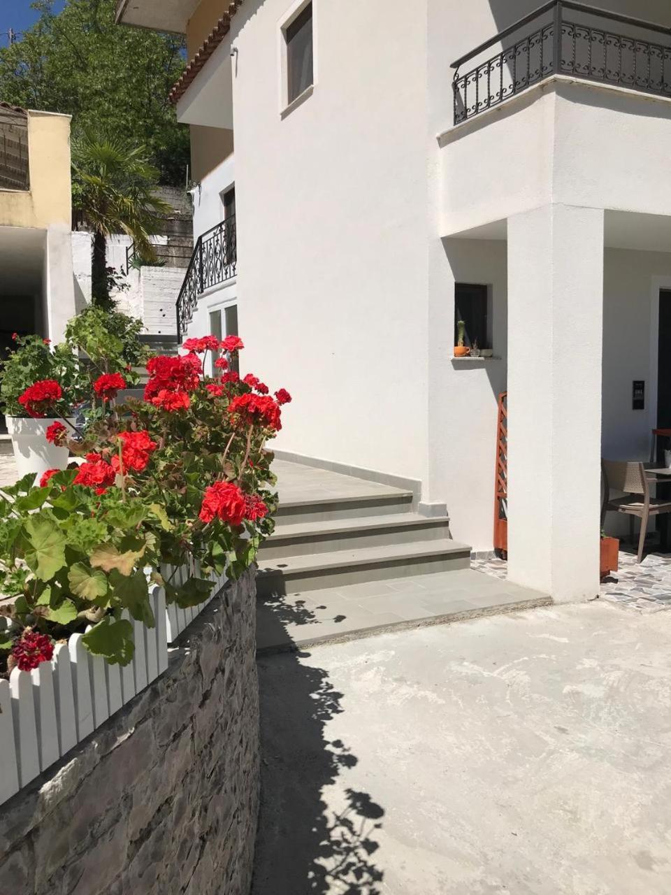 Villa Qeli Gjirokastra Kültér fotó