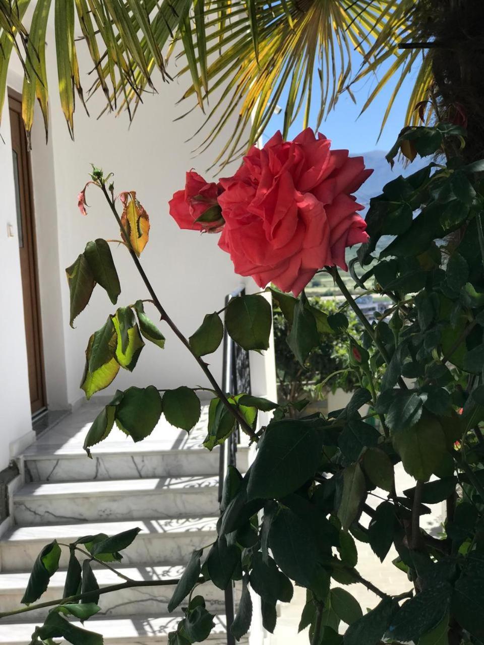 Villa Qeli Gjirokastra Kültér fotó