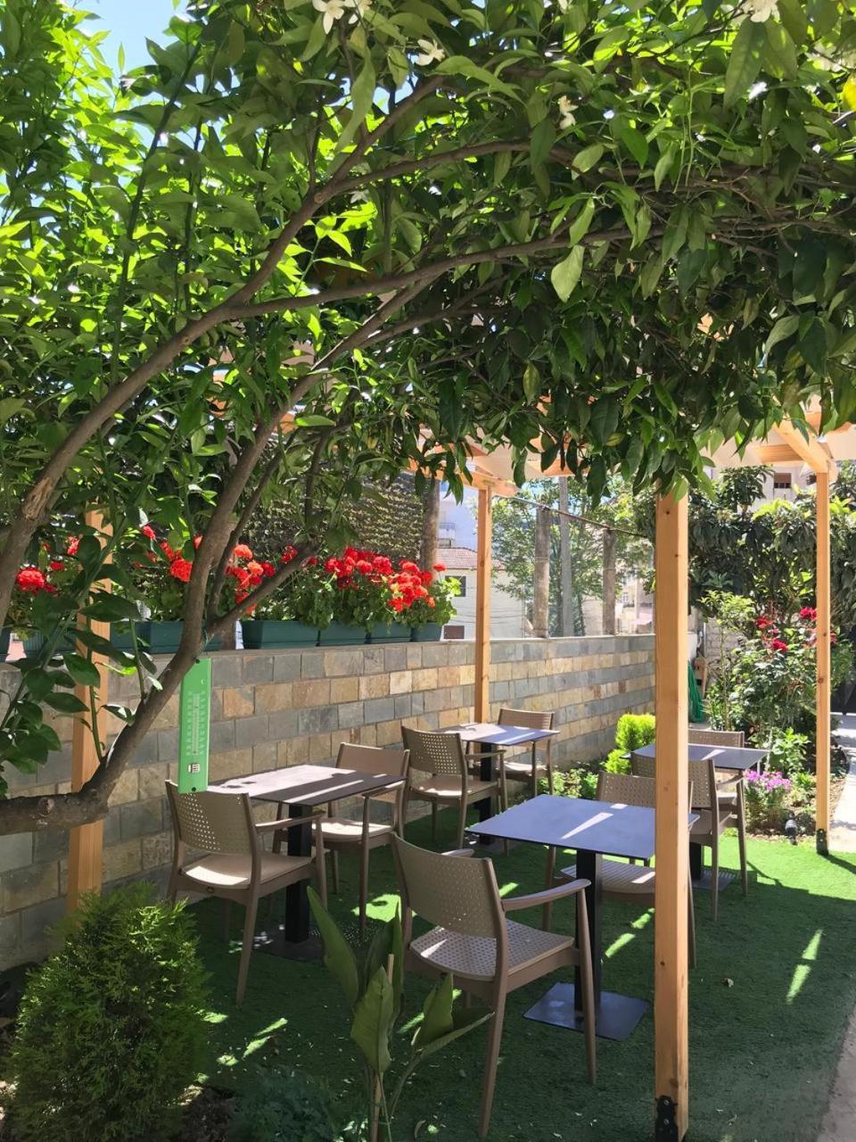 Villa Qeli Gjirokastra Kültér fotó